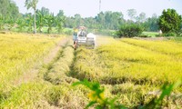 Hậu Giang kêu gọi đầu tư hơn 5.000 tỷ đồng vào 22 dự án nông nghiệp