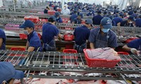 Xuất khẩu cá tra sang Mexico tăng trưởng ấn tượng