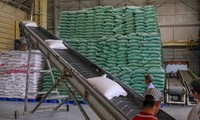 Ấn Độ cấm xuất khẩu gạo, doanh nghiệp Việt được khuyến cáo gì?