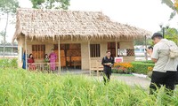 Có gì bên trong Bảo tàng Nông nghiệp Đồng bằng sông Cửu Long đầu tư 400 tỷ đồng?