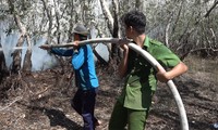 Cháy hơn 20 ha rừng tràm Vườn Quốc gia Tràm Chim