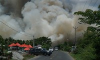 Đang cháy lớn tại Vườn quốc gia Tràm Chim, lửa lan rất nhanh