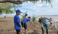 Bến Tre có nhiều mô hình ứng phó biến đổi khí hậu, bảo vệ môi trường