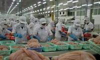 Thanh tra Bộ Nông nghiệp Mỹ đánh giá an toàn thực phẩm với cá tra Việt Nam