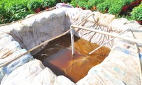 Ao chứa nước để tưới hoa của nông dân Bến Tre 