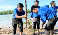 Cần Thơ trồng 1000 cây xanh chống sạt lở bờ sông