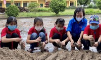 Học sinh trường Tiểu học Bá Xuyên đong cát vào chai làm thành “gạch” xây nhà vệ sinh Ảnh: CTV