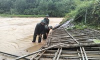 Mưa lũ cuốn trôi nhiều cột điện, hơn 800 hộ dân ở vùng núi Thanh Hóa mất điện