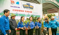 Tỉnh Đoàn Bắc Ninh tiếp nối phong trào Nghìn việc tốt, tuổi trẻ Quảng Bình tình nguyện vì cộng đồng