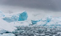 Một trong những sông băng lớn nhất ở Nam cực đang vỡ vụn, đe dọa làm tăng mực nước biển toàn cầu.