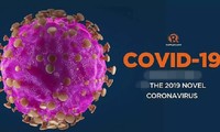Ai là người được ưu tiên sử dụng vaccine COVID-19?