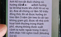 Cảnh báo thủ đoạn mạo danh cơ quan tư pháp để lừa ‘chạy án’ 