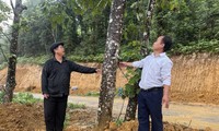 Chuyện người hiến đất mở đường ở huyện vùng cao Lào Cai