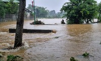 Mưa to gây lũ, ngập lụt nhiều nơi ở Hà Giang