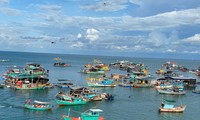 Hàng trăm tấn cá lồng bè ở Kiên Giang &apos;nghẽn&apos; đầu ra do dịch COVID-19