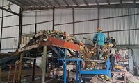 Kiên Giang lập đoàn kiểm tra vì nhà máy rác Phú Quốc gây ô nhiễm