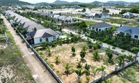 Phú Quốc sẽ cưỡng chế xử lý 14 biệt thự không phép