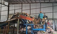 Phú Quốc xin chủ trương đầu tư nhà máy xử lý rác khoảng 300 tỷ đồng