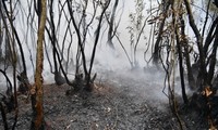 The drought is severe, the forests in the West are burning again