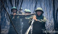 Gần 100 giờ chiến đấu với &apos;giặc lửa&apos;, khống chế vụ cháy rừng ở Kiên Giang