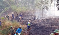 Cháy lớn thiêu rụi hàng chục héc ta rừng tràm ở Kiên Giang