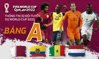 Thông tin 32 đội tuyển dự World Cup 2022: Bảng A