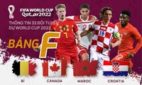 Thông tin 32 đội tuyển dự World Cup 2022: Bảng F