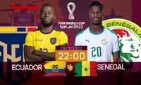 World Cup 2022: Tương quan trước trận Ecuador - Senegal, 22 giờ 29/11