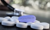 Thuốc molnupiravir đang được hãng Merck thử nghiệm Ảnh: Reuters