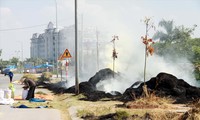 Đốt rơm rạ làm gia tăng ô nhiễm môi trường không khí tại Hà Nội và nhiều tỉnh phía Bắc. Ảnh: Như Ý 