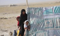 Một gia đình Afghanistan phải sống tạm trong lều sau cuộc giao tranh giữa Taliban với quân chính phủ Ảnh: AP 