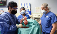 Các bác sĩ đang tiến hành phẫu thuật ghép tim lợn cho ông David Bennett 