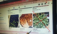 Cây thuốc phiện (anh túc) được rao bán công khai trên mạng xã hội dưới tên gọi là “táo mèo” (Ảnh chụp màn hình) 