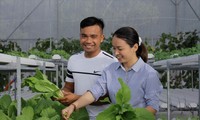 Chị Trang và chồng là anh Nguyễn Quốc Tuấn chăm sóc kỹ càng cho từng luống rau sạchảnh: Thu Loan 