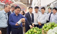 Bộ trưởng Lê Minh Hoan (hàng trên, thứ 2 từ trái sang) trực tiếp kiểm tra chuỗi thực phẩm an toàn tại TPHCM ảnh: Vân Sơn 