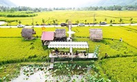Điểm du lịch độc đáo của anh Nguyễn Quốc Khánh 