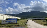 Nhà máy điện mặt trời AMI Khánh Hòa xây dựng vượt diện tích Ảnh: CÔNG HOAN 