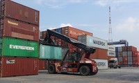 Lượng container tồn nằm rải rác ở cảng Cát Lái (TP Thủ Đức, TPHCM)Ảnh: Hữu Huy