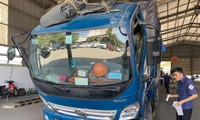 Nhân viên TTĐK xe cơ giới 50-07V (quận Bình Tân) kiểm tra xe tải đến đăng kiểm 