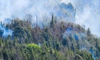 Các điểm cháy trong khu vực Vườn Quốc gia Hoàng Liên vẫn âm ỉ Ảnh: Hân Nguyễn