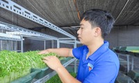 Bí thư Đoàn phường Nguyễn Văn Tiến bên cơ sở trồng rau mầm của mình Ảnh: N.T 