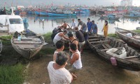 Công tác neo đậu tàu thuyền tránh bão số 13 được Đà Nẵng triển khai khẩn trương Ảnh: Nguyễn Thành