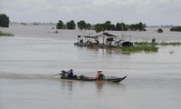 Mưu sinh mùa nước nổi ở ĐBSCL, nơi hạ nguồn sông MekongẢNH: CẢNH KỲ