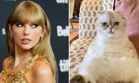 Thú cưng của sao &quot;hái ra tiền&quot;: Mèo của Taylor Swift giàu gấp đôi bạn trai cô nàng