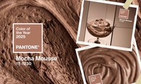 Màu của năm 2025 - Mocha Mousse: Kết nối cảm xúc, tôn vinh vẻ đẹp bền vững