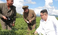 Ông Kim Jong-un bận đi thăm trang trại khoai tây ở tỉnh giáp biên giới Trung Quốc và là lý do khiến ông không đón tiếp Ngoại trưởng Mỹ Mike Pompeo. Ảnh: AFP
