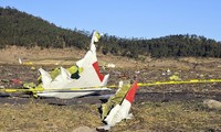 Mảnh vụn chiếc máy bay Boeing 373 MAX 8 của hãng hàng không Ethiopia được tìm thấy tại hiện trường.