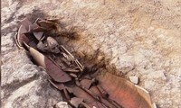Bộ xương người được tìm thấy trong bình amphora tại đảo Corsica của Pháp.