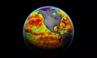 Một bản đồ hiển thị các dị thường về độ cao bề mặt biển, với các màu đỏ và cam thể hiện mực nước biển cao hơn bình thường từ 10 đến 15 cm.