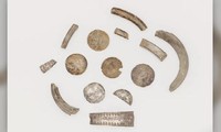 Các đồng bạc được tìm thấy trong " heo đất"